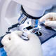 Image for article titled A Bacterium Named 'Elizabeth' Is Plaguing Wisconsin